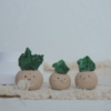 孔雀石 |孔雀石 石頭泥|