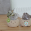 花園水晶 |花園水晶 石頭泥|