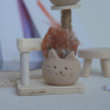太陽石 |太陽石 石頭泥|