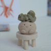 ｜綠幽靈 石頭泥｜☘️