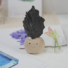黑色藍晶石 石頭泥 |黑色藍晶石 石頭泥|