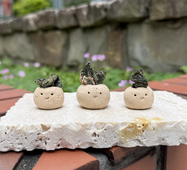 綠碧璽粉長石共生 |綠碧璽+粉長石共生 石頭泥|