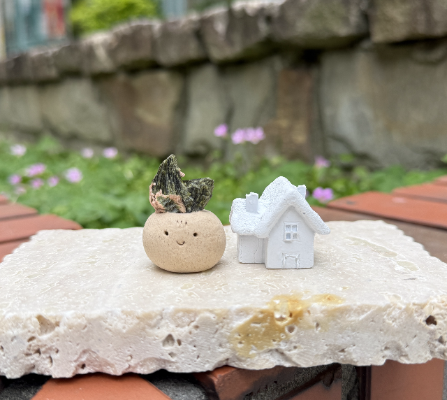 綠碧璽粉長石共生 |綠碧璽+粉長石共生 石頭泥|