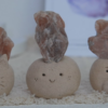 太陽石 |太陽石 石頭泥|