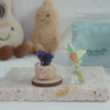 ｜紫水晶片  石頭泥｜