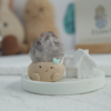 花園水晶 |花園水晶 石頭泥|