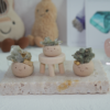 ｜綠幽靈 石頭泥｜☘️