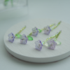 晨曦果凍｜幻彩喇叭小花