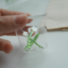 白色貝殼_小花 天然白色貝殼| 小花