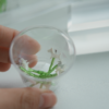 白色貝殼_狗狗 天然白色貝殼| 狗狗🦴