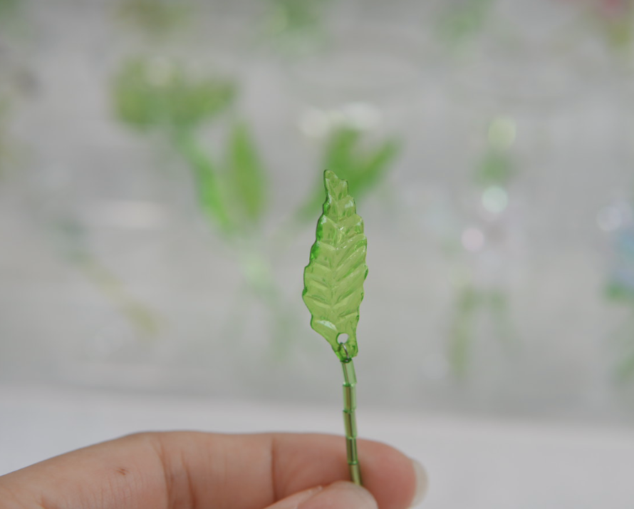日光透光｜ 小綠葉