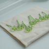 日光透光｜ 幸運草🍀