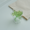 日光透光｜ 幸運草🍀