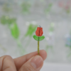 春日鬱金香｜🌷