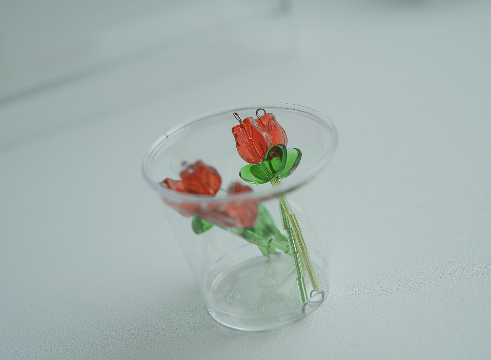 春日鬱金香｜🌷