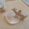 ♡ 愛心透石膏淨化盤｜晶石的小小充電站
