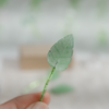 綠東陵葉子 天然礦石葉子| 綠東陵 葉子🍃