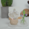 🤍 ｜愛心白晶簇洞 石頭泥｜