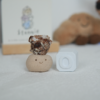 ｜巴基斯坦 石榴石｜