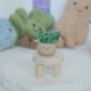 ｜孔雀石 石頭泥｜