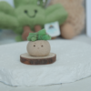 祖母綠 |祖母綠 石頭泥|🌿